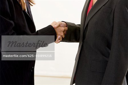 Mid section view of two businesswomen shaking hands