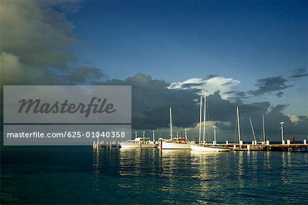 Scenic view of boats anchored to a marina at sunset, Grand Bahamas Bahamas