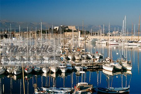 Large group of sailboats docked at Antibes/Cote D'Azur, France