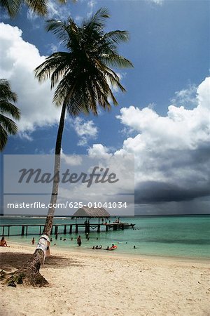 View of a scenic beach on a sunny day, Pigeon Point, Tobago, Caribbean