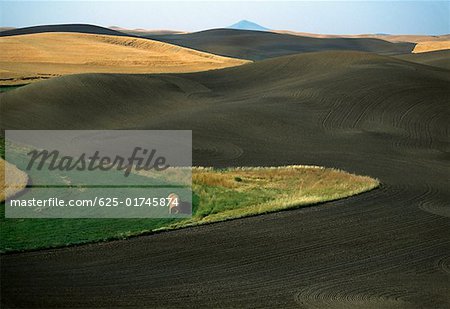 Contour plowed fields, Washington state