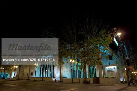 Low angle view of trees in front of buildings, Orlando, Florida, USA