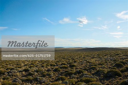 Panoramic view of a landscape, National Route 40, Patagonia, Argentina