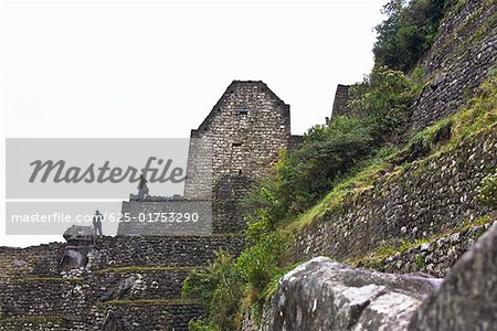 Low angle view of ruins, Aguas Calientes, Mt Huayna Picchu, Machu Picchu, Cusco Region, Peru