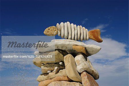 Low angle view of pebbles arranged in a fish shape