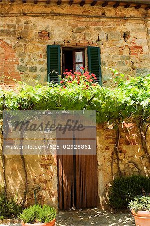 Potted plants in front of a building, Piazza Roma, Monteriggioni, Siena Province, Tuscany, Italy