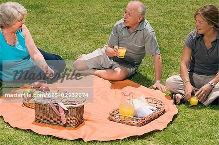 High angle view of three senior people at picnic