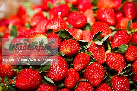 Close-up of strawberries, Zacatecas State, Mexico