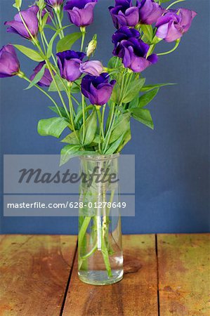 Violet flowers in a vase
