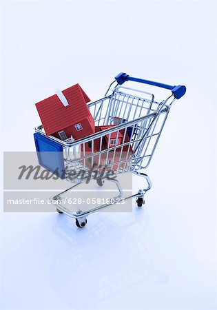 Houses in a shopping cart