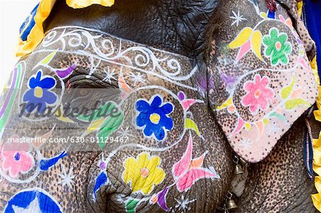 Close-up of a painted elephant, Elephant Festival, Jaipur, Rajasthan, India