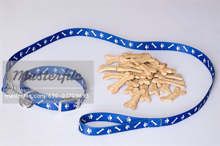 Close-up of a dog leash with dog biscuits