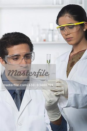 Scientists holding plants in test tube