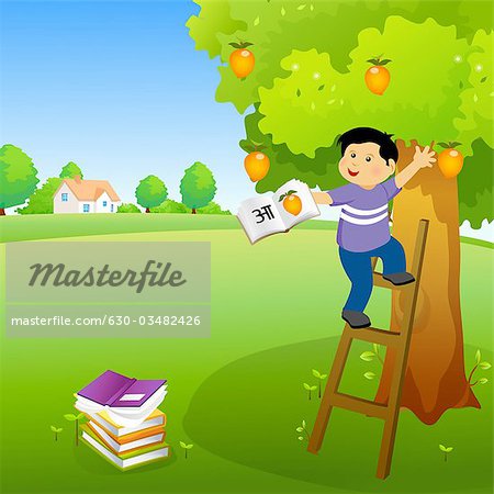 Boy holding a book and climbing a mango tree - Stock Photo