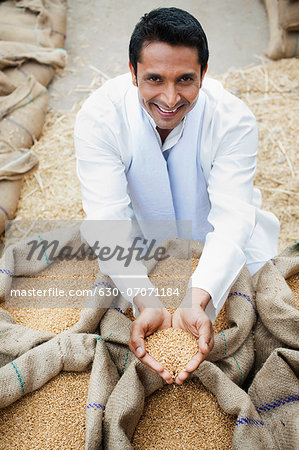Man holding wheat grains from a sack in his cupped hands, Anaj Mandi, Sohna, Gurgaon, Haryana, India
