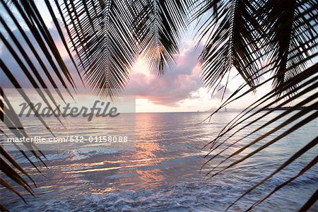 West Indies, Martinique, Anse des Salines
