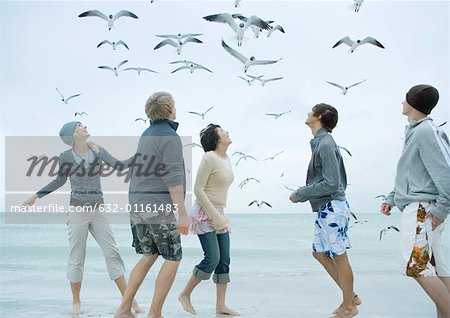 Group of young adults on beach, looking up at seagulls