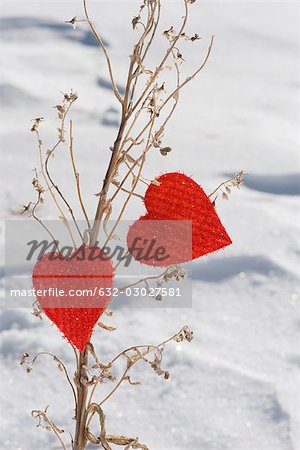 Heart shaped ornaments on dried plant stalk