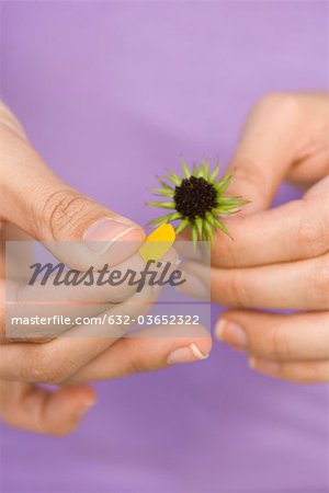 Picking petals from flower