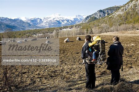 Family hiking together, looking at cows in mountain pasture