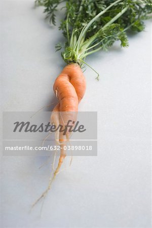 Twisted carrot