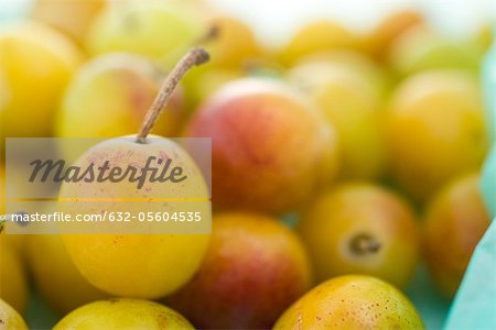 Mirabelle plums