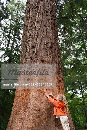 Little girl reaching to touch tall tree