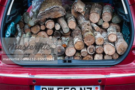 Car trunk with pile of firewood