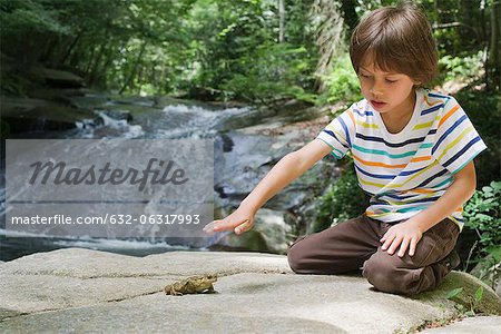 Boy kneeling on rock looking at frog