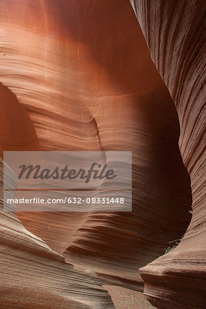 Beautifully swirled sandstone walls in Rattlesnake Canyon, Arizona, USA