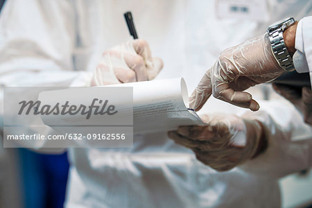 Scientists working in laboratory