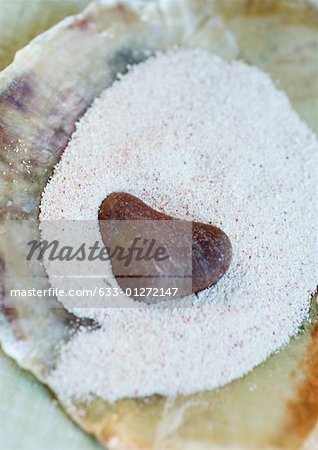 Seashell holding sand and heart shaped stone
