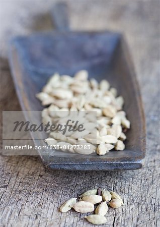 Scoop full of cardamom seeds