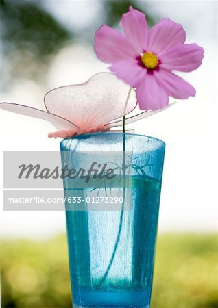 Cosmos flower in glass with fake butterfly