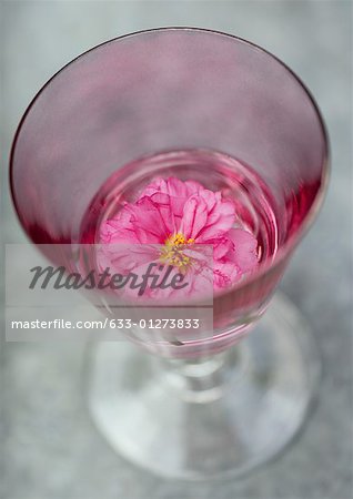 Peony in glass of water
