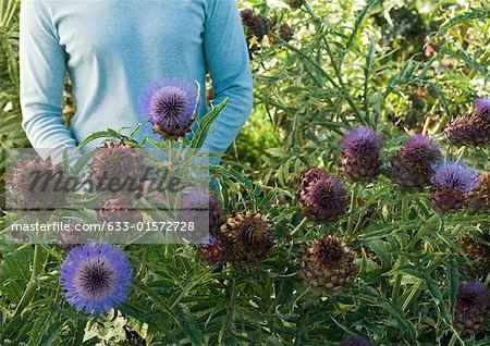 Man standing in flowers, mid section