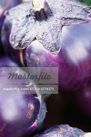 Eggplant