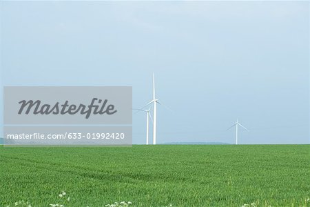 Wind turbines in field of grass