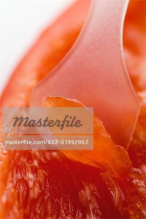 Spatula scooping grapefruit flesh, extreme close-up