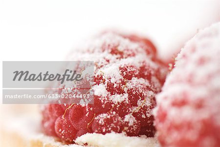 Raspberries sprinkled with sugar, close-up