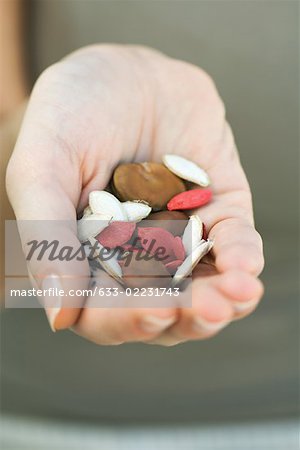 Handful of dry multicolored beans and seeds