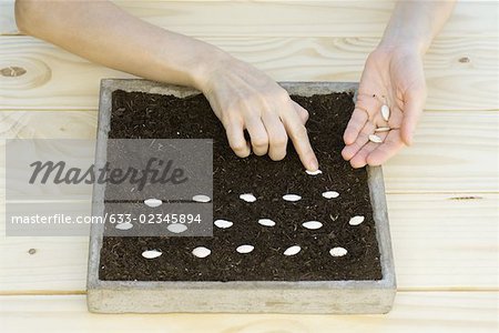 Seeds being carefully placed atop soil in square wooden planter
