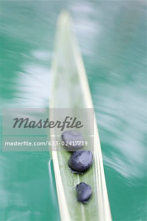 Stones on palm leaf, floating on water, blurred motion