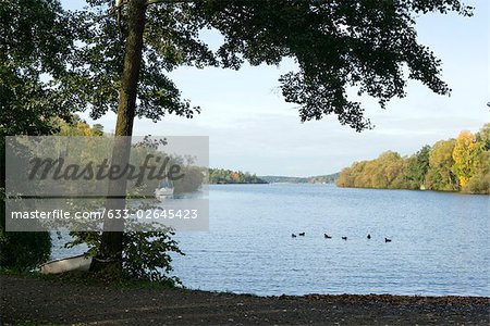 Tranquil lake scene