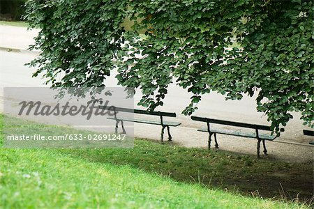 France, Paris, park benches under shady tree