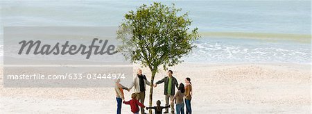 Group holding hands in circle around solitary tree on beach