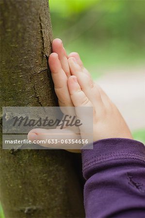 Toddler's hands touching tree trunk, cropped