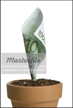 Close-up of a one hundred Euro banknote growing in a flower pot