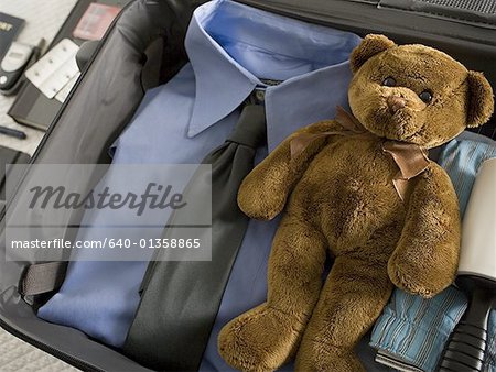 teddy in a suitcase