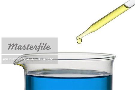 Pipette Dropping Chemical on Plant Spout with Roots in an Erlenmeyer  Conical Flask Stock Photo - Image of pipette, roots: 68352612